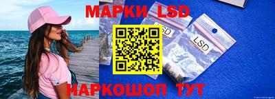 скорость Кингисепп