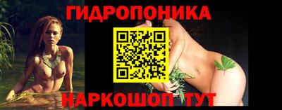 скорость Кингисепп