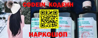 скорость Кингисепп