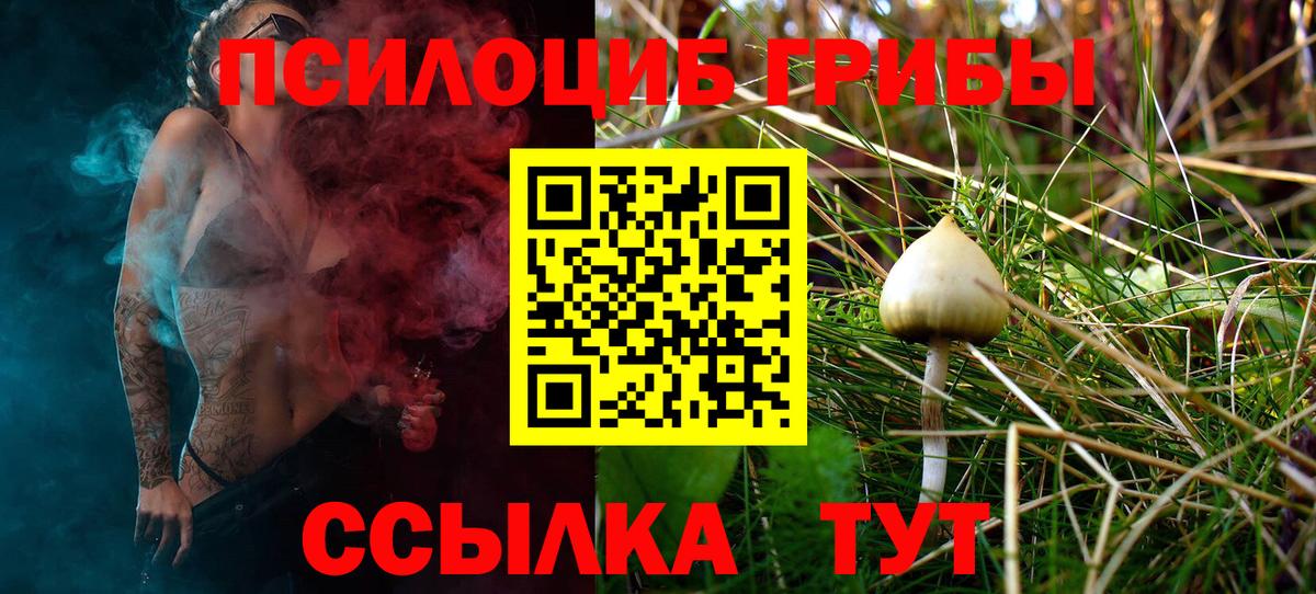 Псилоцибиновые грибы мицелий Коркино
