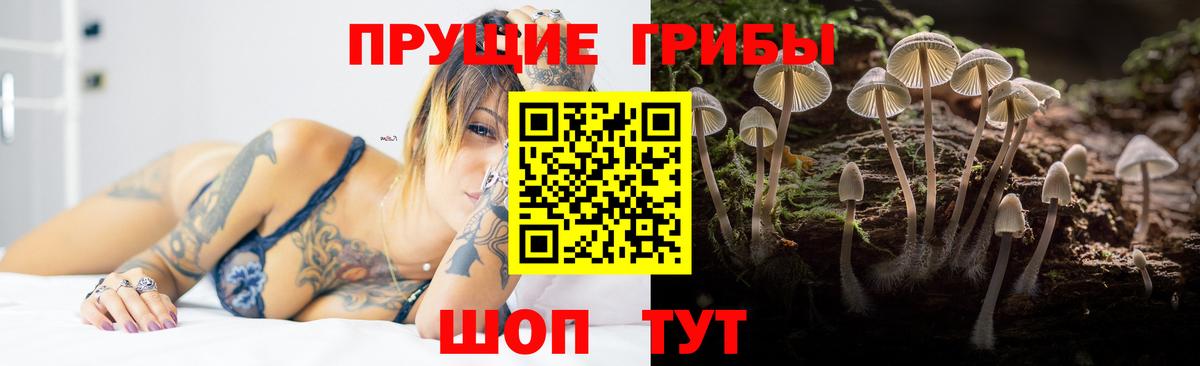 Галлюциногенные грибы Magic Shrooms  что такое наркотик  Коркино  Вход с VPN 